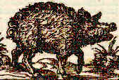 wpe1.jpg (8463 Byte)